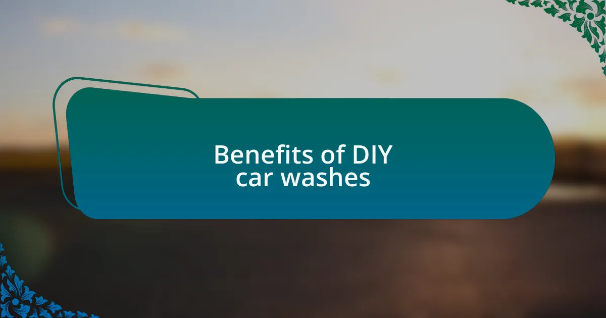 Benefits of DIY car washes