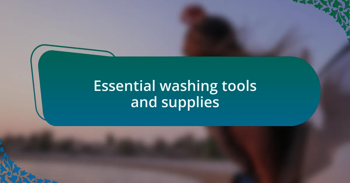 Essential washing tools and supplies