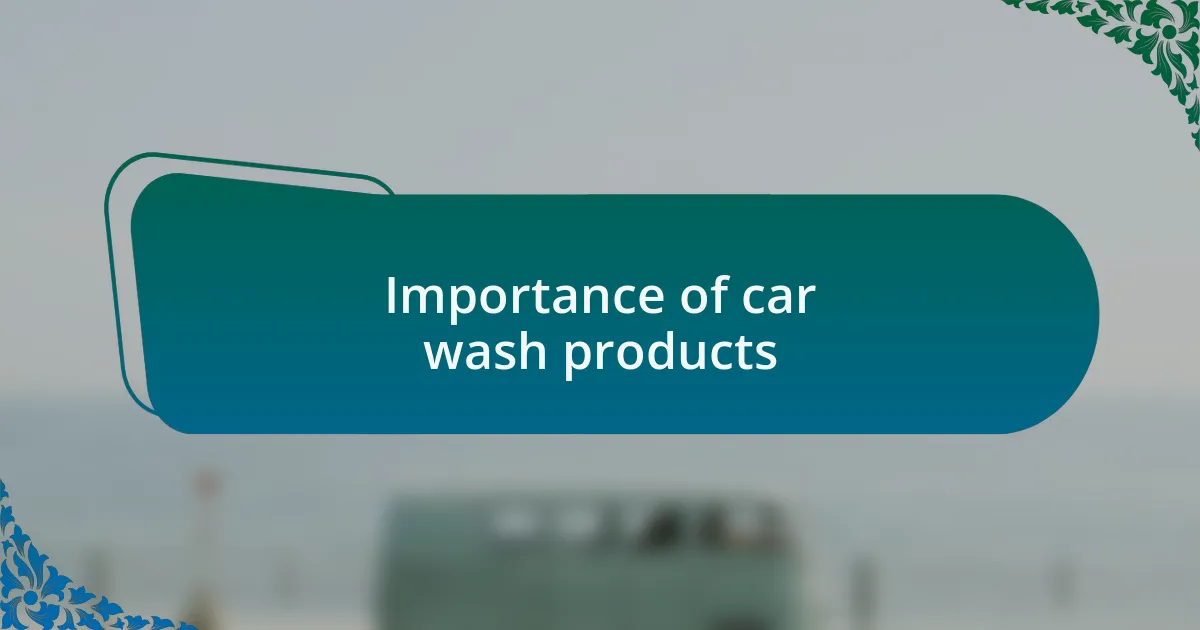 Importance of car wash products