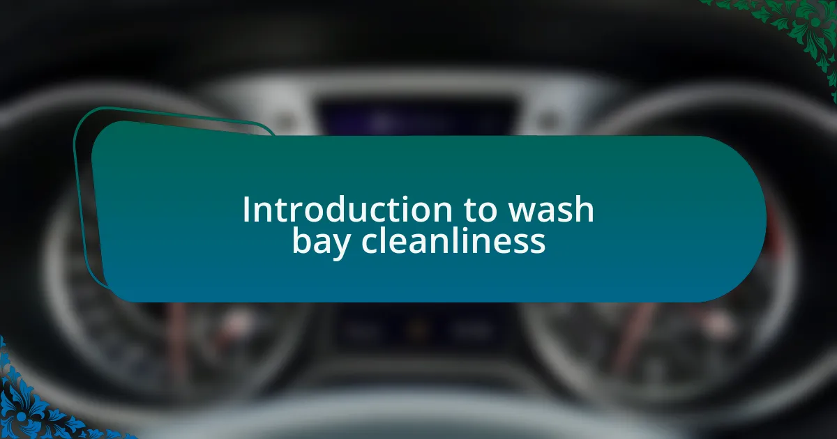 Introduction to wash bay cleanliness