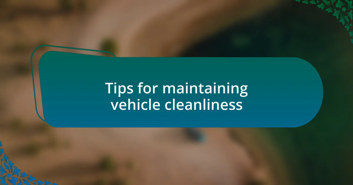 Tips for maintaining vehicle cleanliness