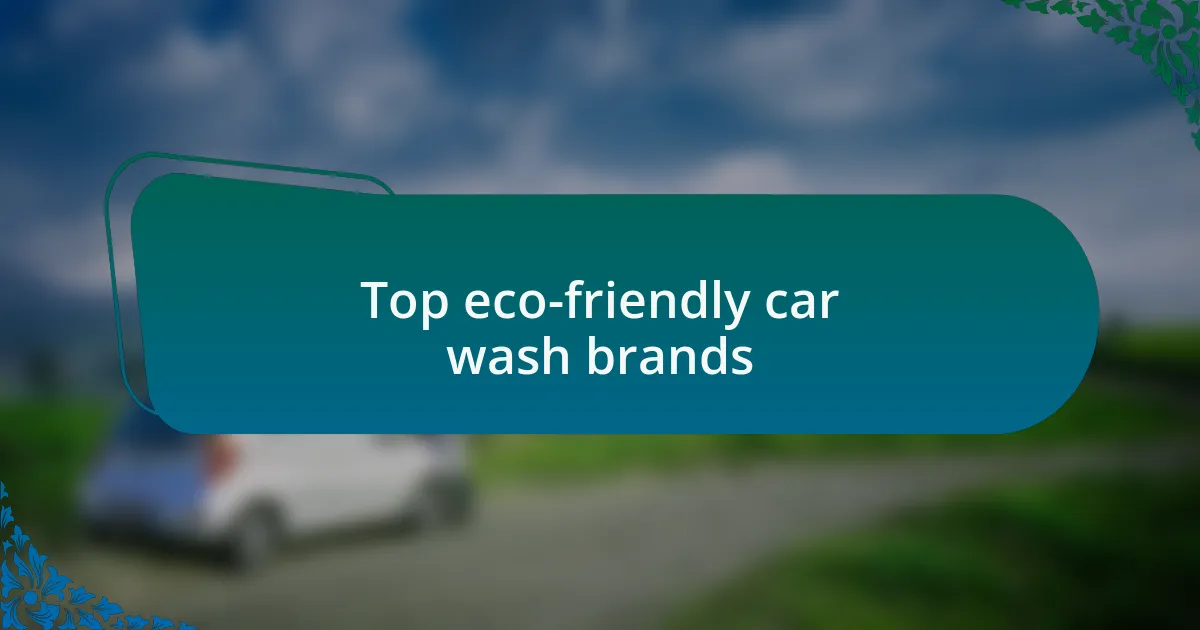 Top eco-friendly car wash brands